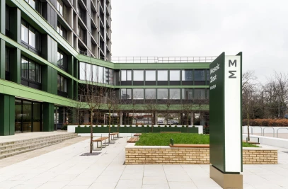 Feldberg Capital, Mosaic East