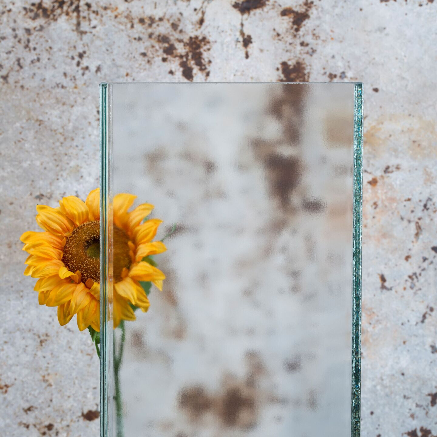 LINIT EcoGlass, clarissimo